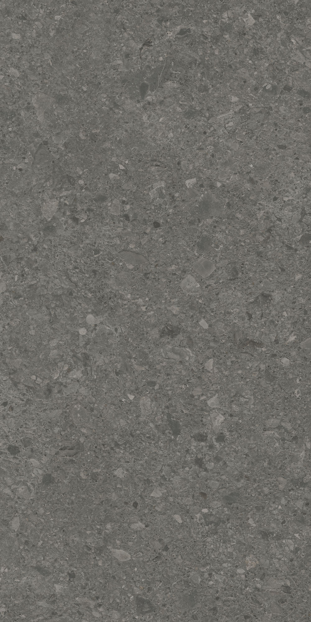 DD591620R На пол Чеппо ди Гре Антрацит матовый обрезной 119.5x238.5x0.9