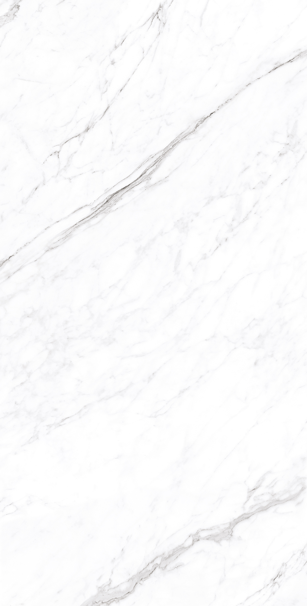 CP4003-A На пол Coralina White Carving Pro 60x120 - фото 3