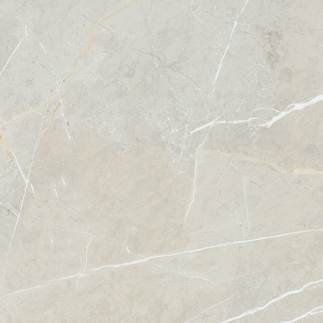 BB6NTT9101P На пол Bright And Shiny BB6NTT9101P - фото 12