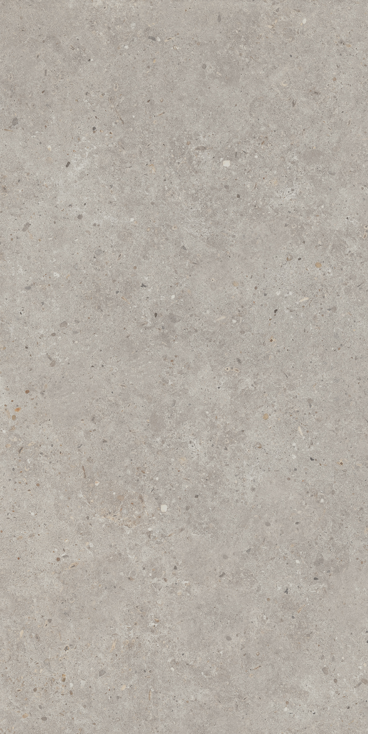 SG519920R На пол Риккарди Серый Светлый Матовый Обрезной 60х119.5 - фото 6