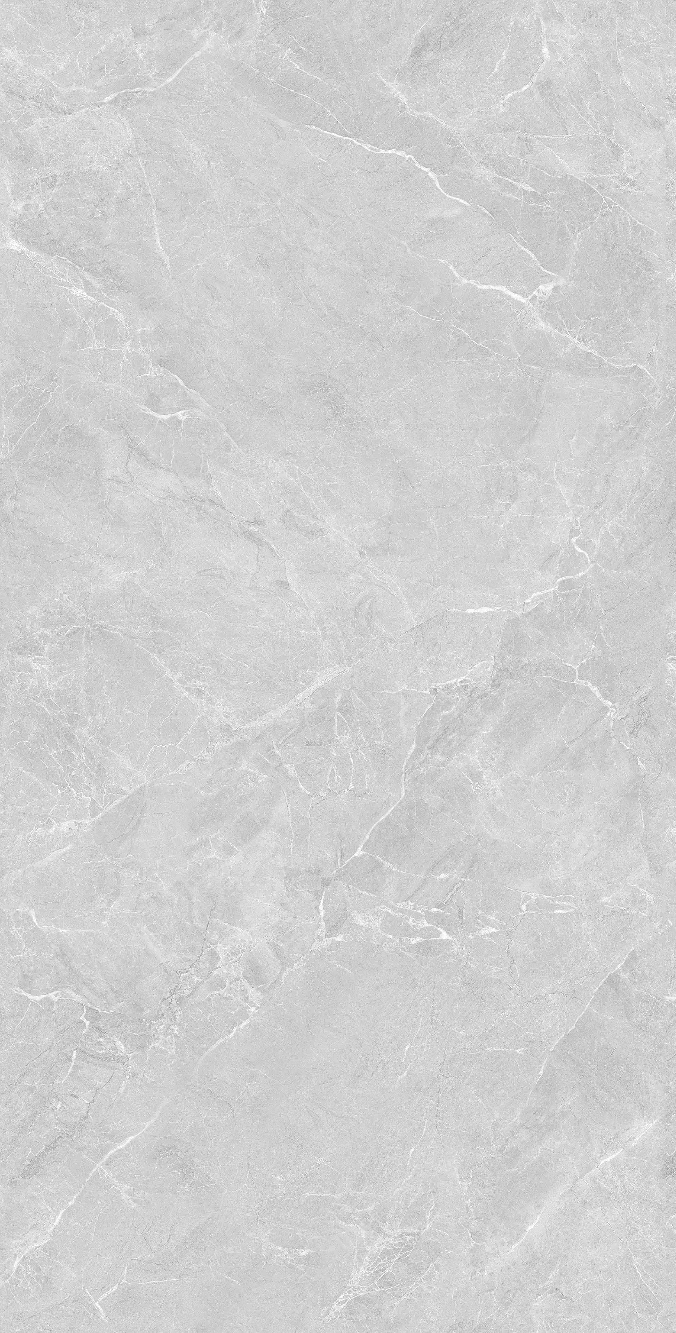 На пол Lithos Light Grey Sugar Polished 60x120 - фото 4
