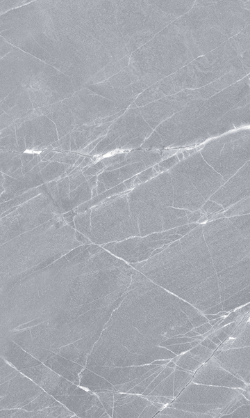 010100000350 На стену Elegance Grey wall 02