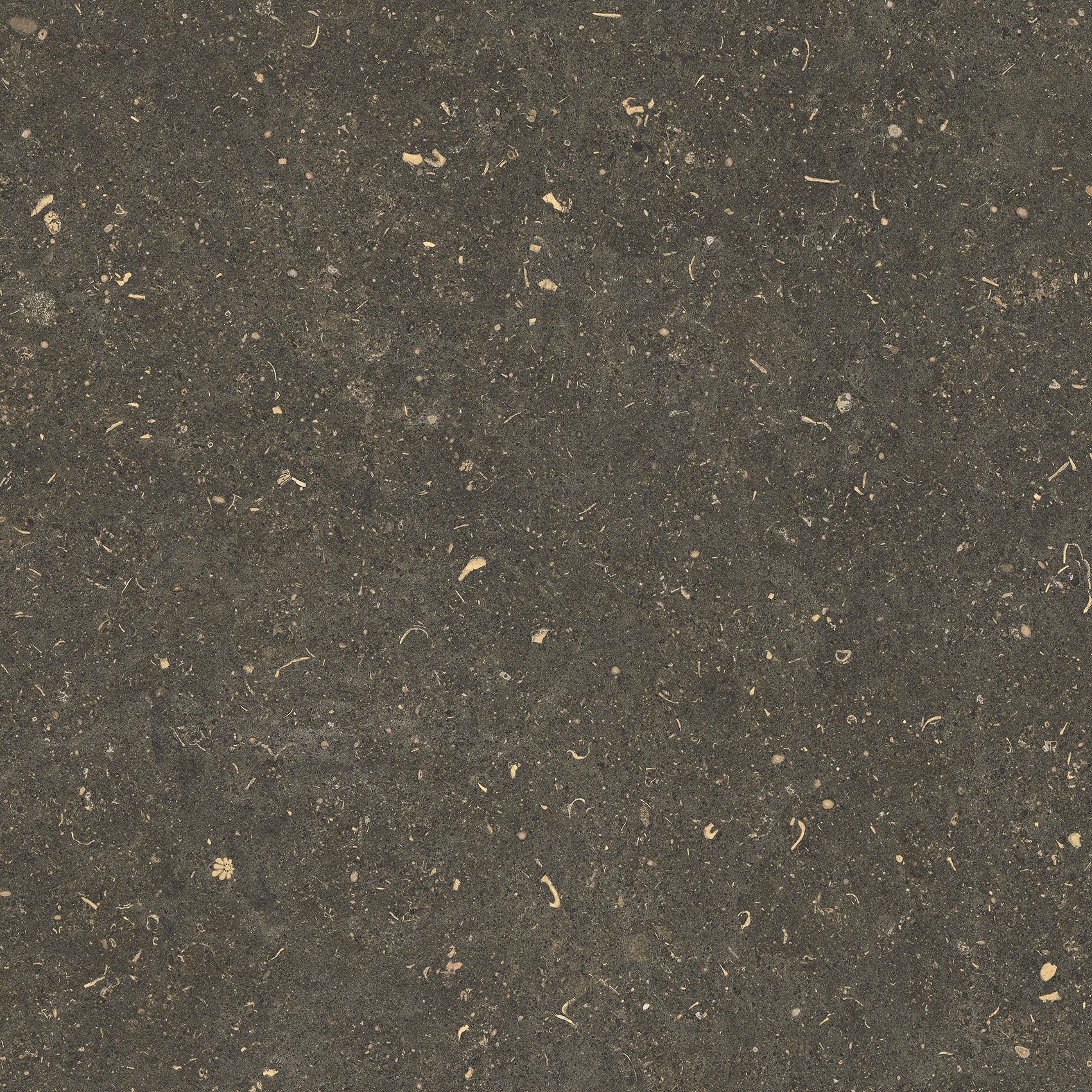 785487 На пол Rinascenza Arena Platino Matte 60x60 - фото 9