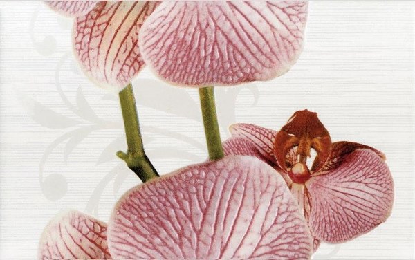 377087 Панно Fiori Dec. Орхидея - фото 4