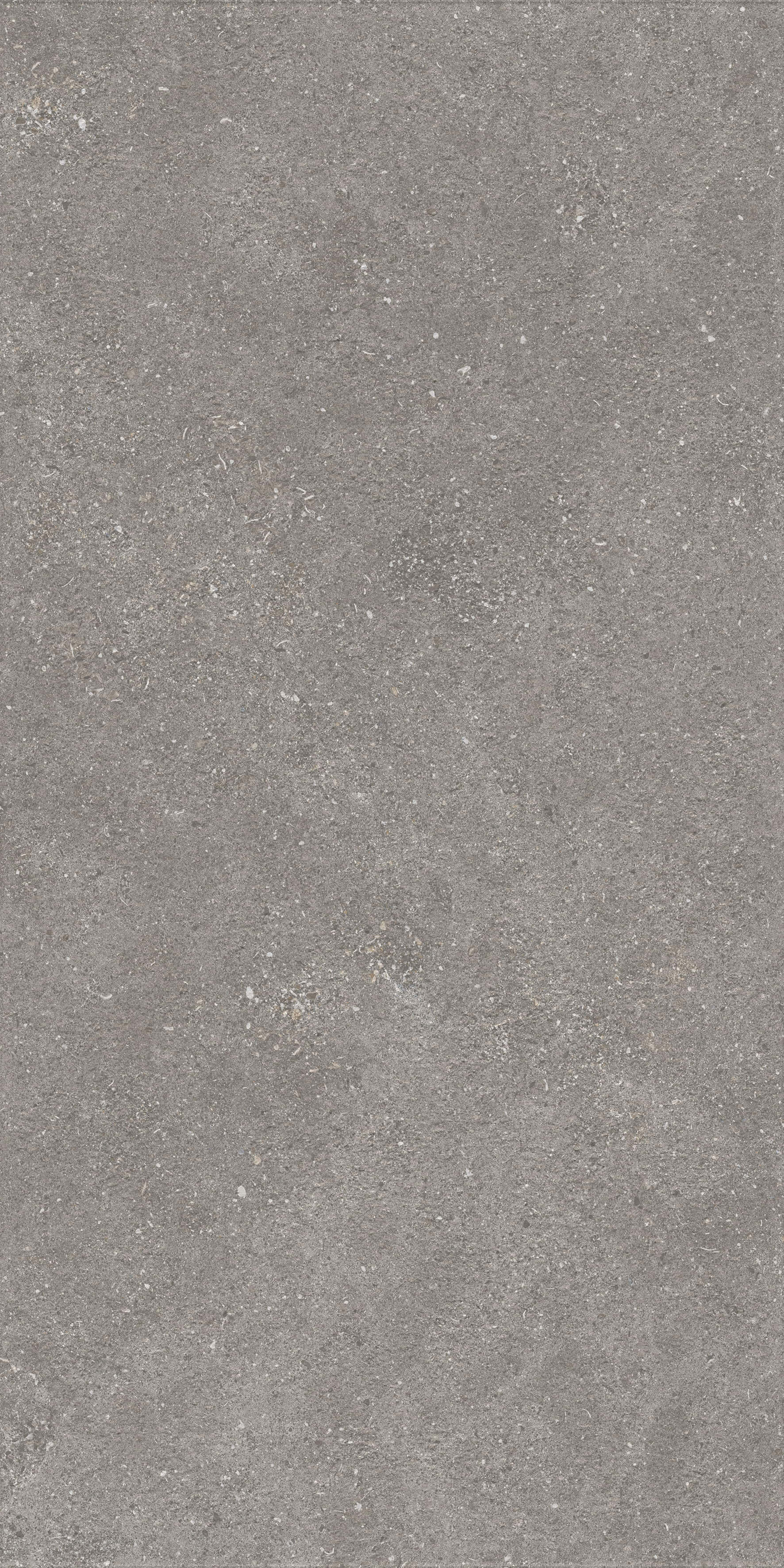 1224 На пол Stone Graniti Grey Matt Ghr 120x60 - фото 2