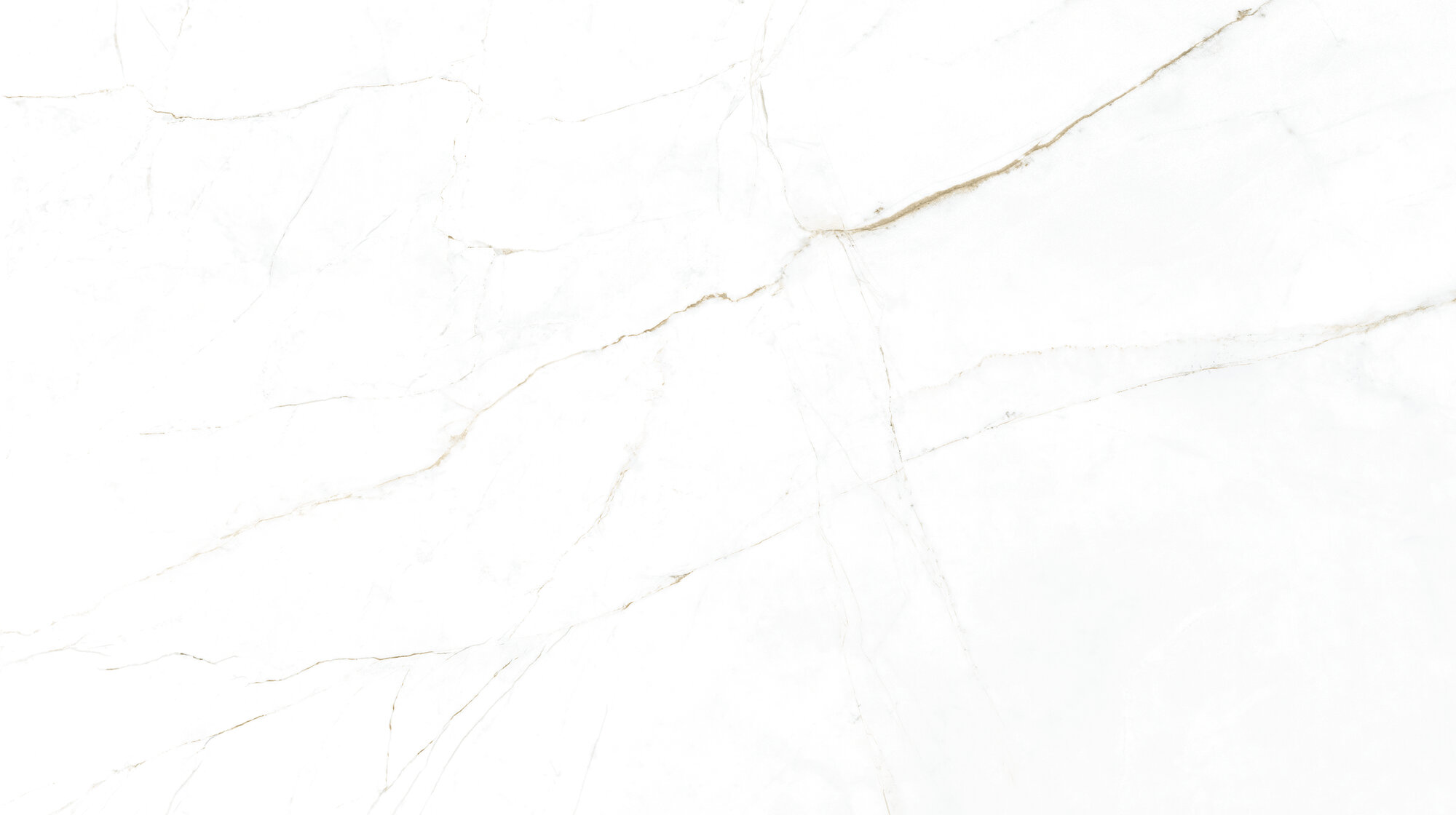 31744 На пол Museum Dual White SP/R 100х180 - фото 6