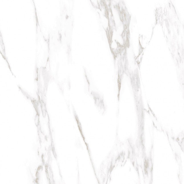 GRS01-19 На пол Ellora Lotus 60x60 - фото 2