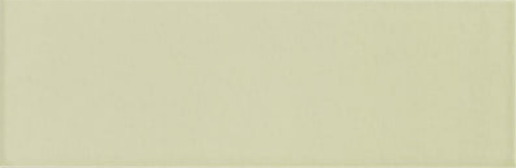 На стену Jungle Mint