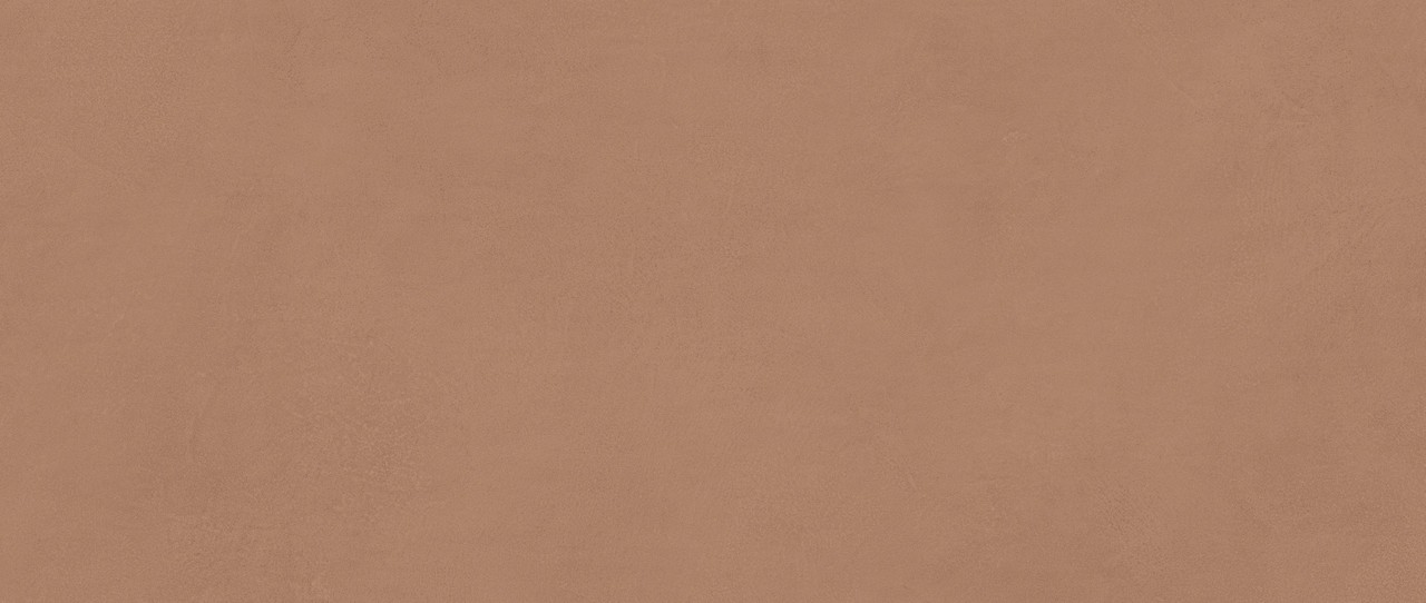 AYR9 На стену Boost Expression Sienna Matte 50x120 - фото 2