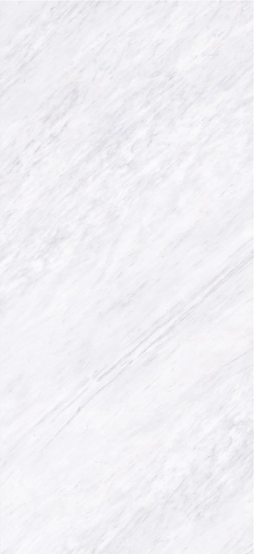 MN062AP271206 На пол Ariston White Polished 6mm 120x270 - фото 2