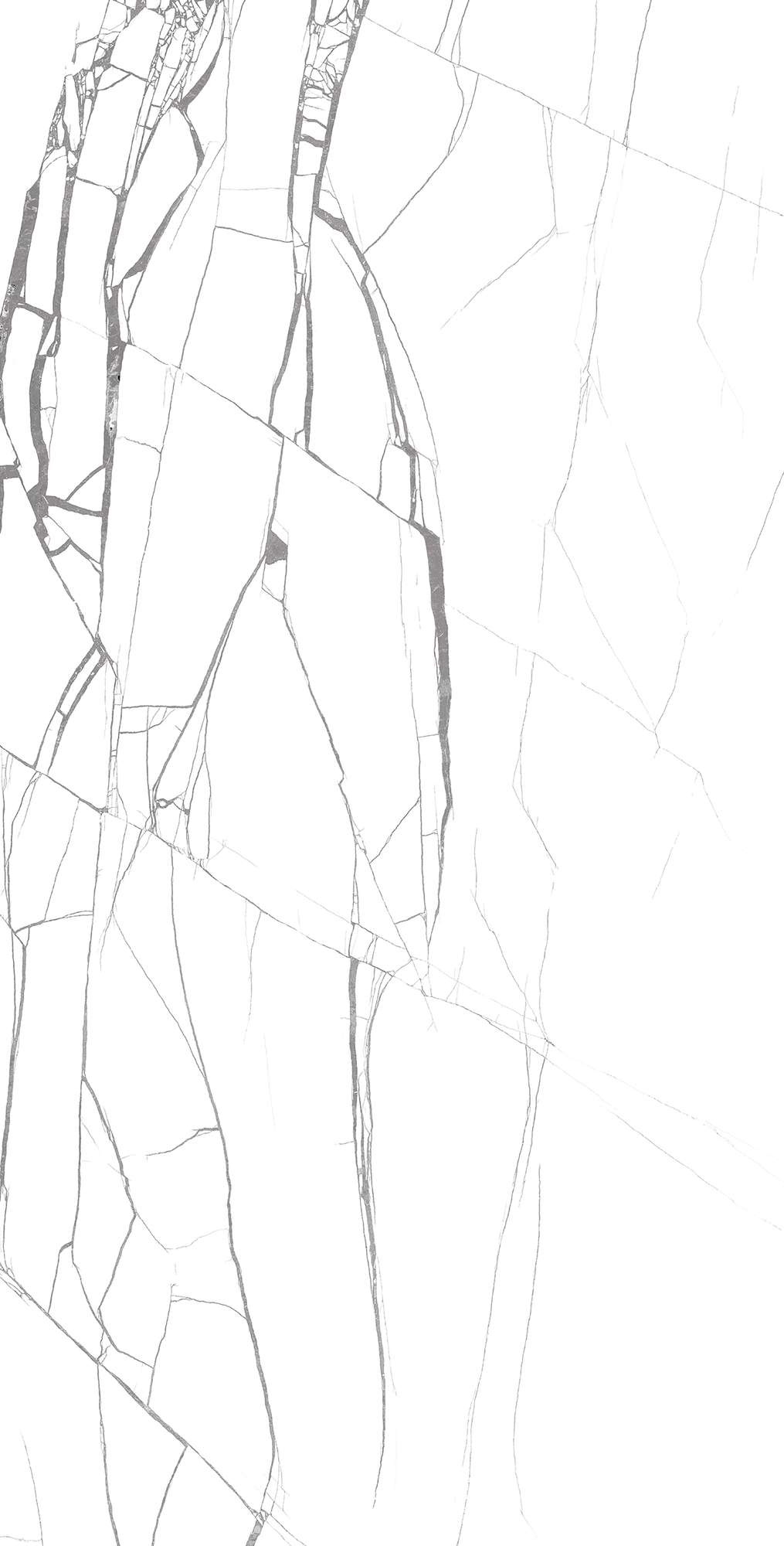 FP1001-A На пол Rotto Marmo Full Polished 60x120 - фото 2