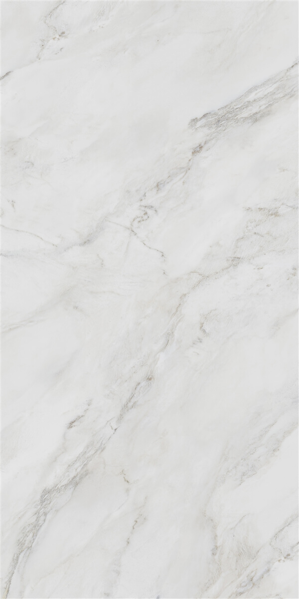 P19809 На пол Anderson White Polish Rec 60x120 - фото 9