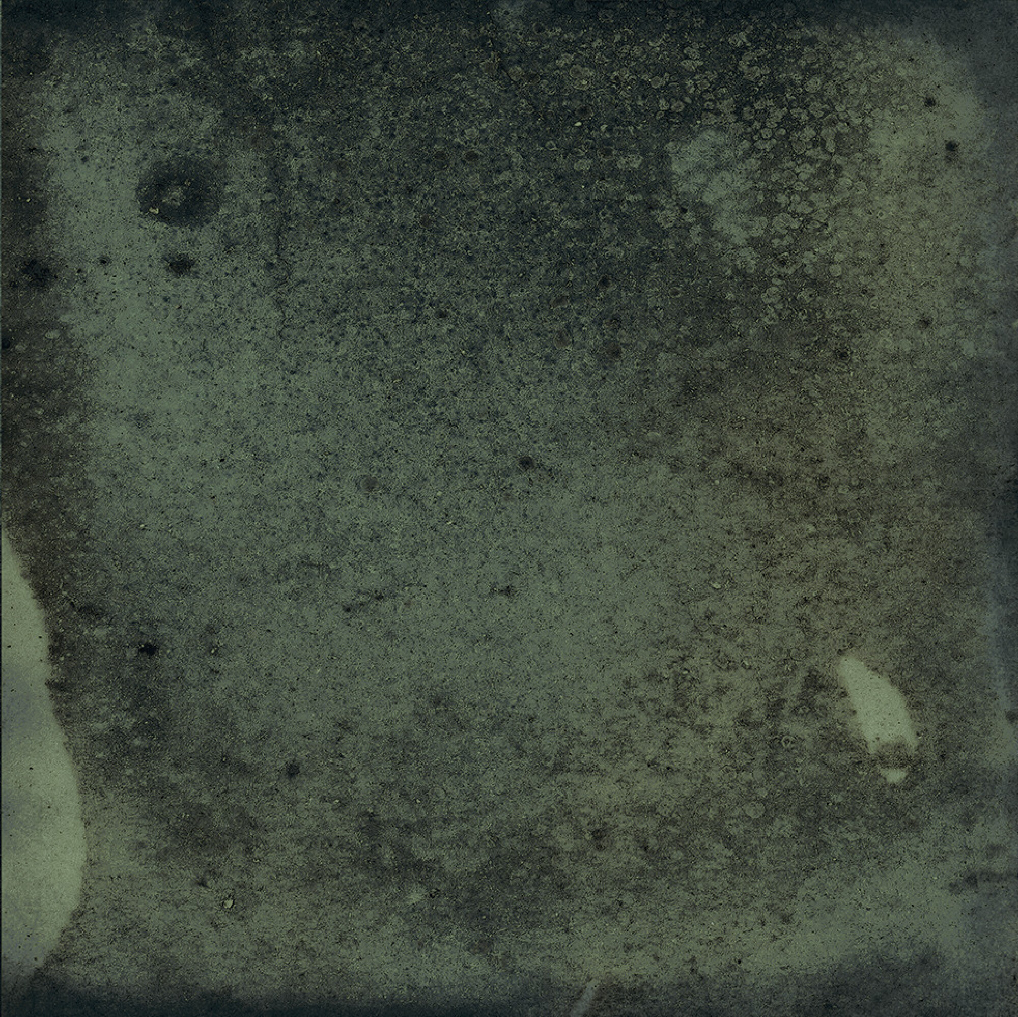 31041 На стену Legacy Green 15x15 - фото 41