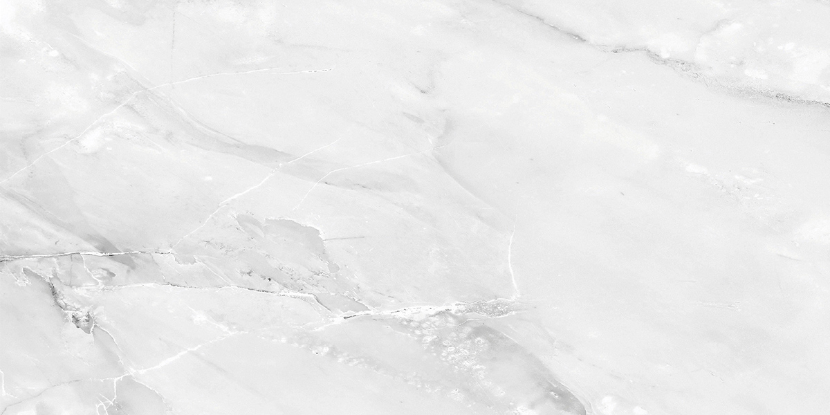 PRO 1187G На пол Aquarelle Grey Gloss 1200x600 - фото 2