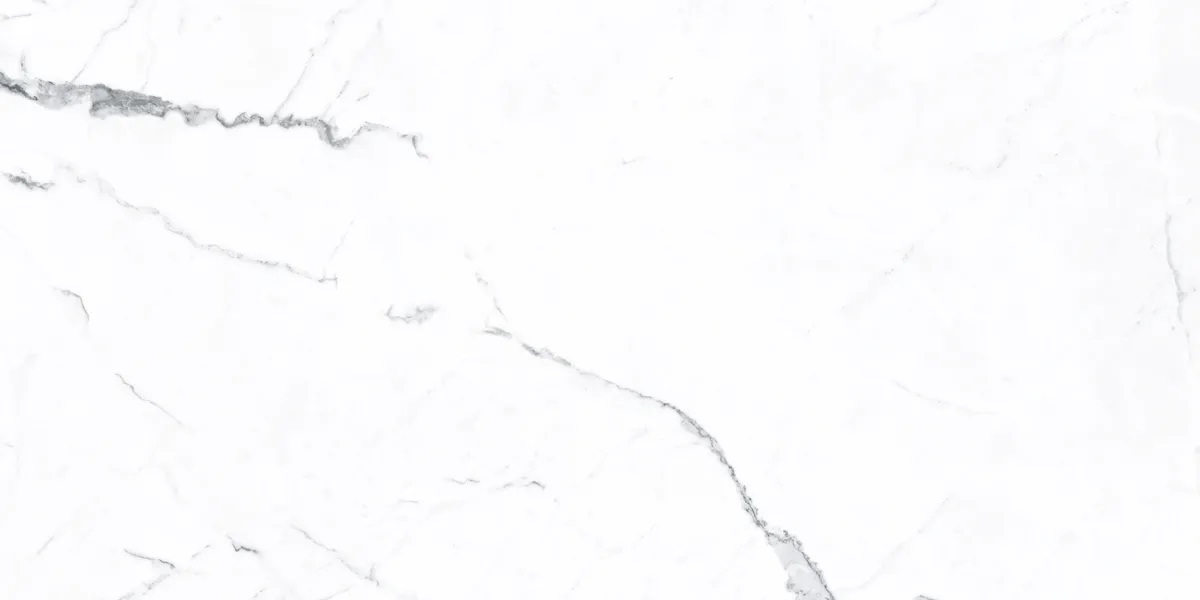 P0003810 На пол Idyllic Statuario White Starlight 120x60 - фото 4