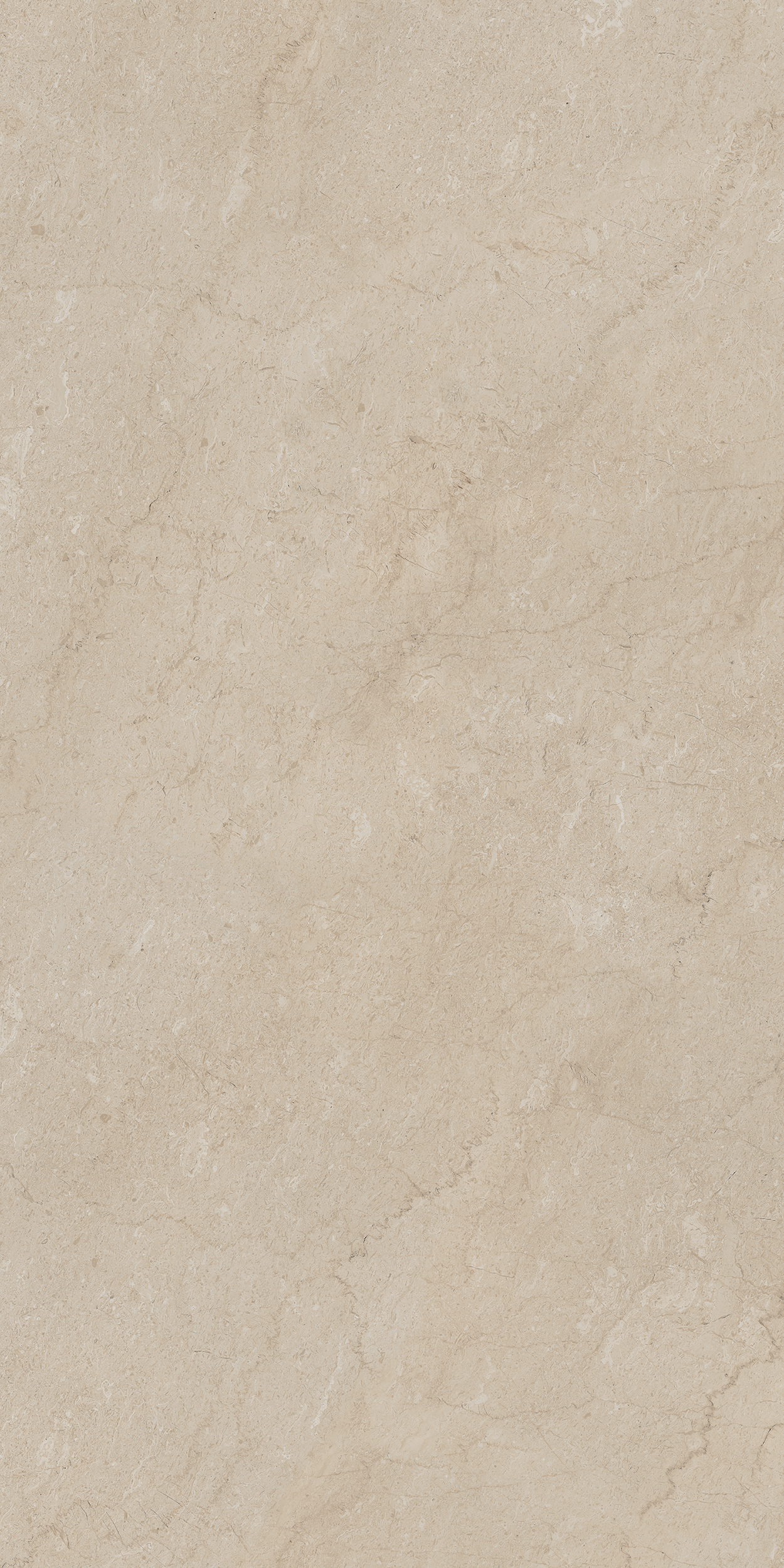 AEM01/NS_R9/80x160x10R/GW На пол Элемента AEM01 Бежевый Неполированный Рект 80x160x10 - фото 9