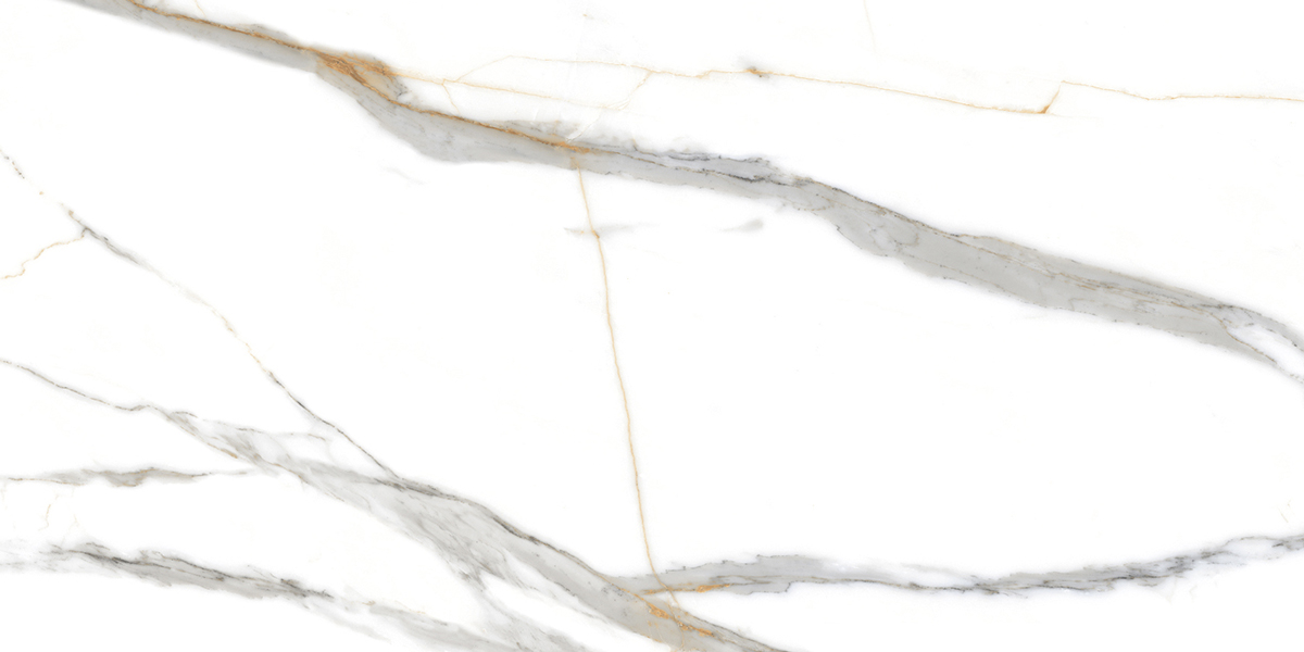 PRO 1059G На пол Roma Grigio Gloss 1200x600 - фото 3