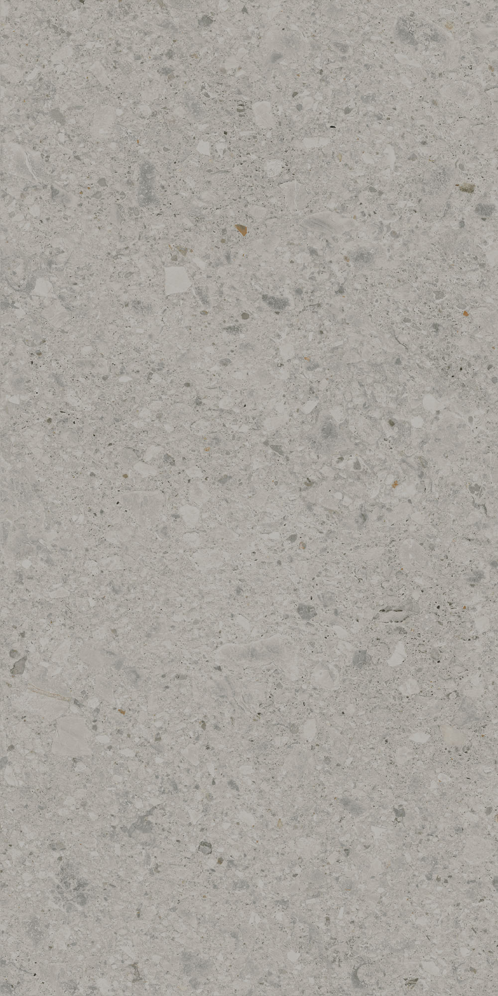 DD591420R На пол Чеппо ди Гре Серый матовый обрезной 119.5x238.5x0.9 - фото 4