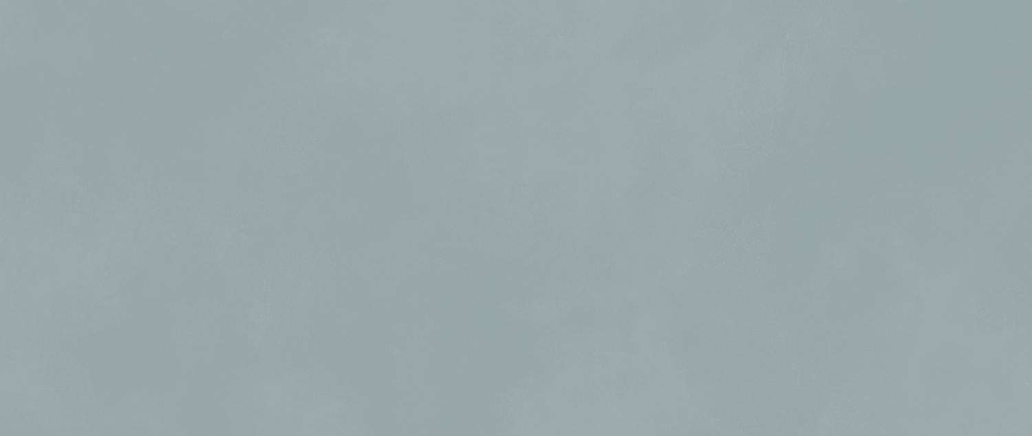 AKM8 На стену Boost Color Iris 50x120 - фото 9