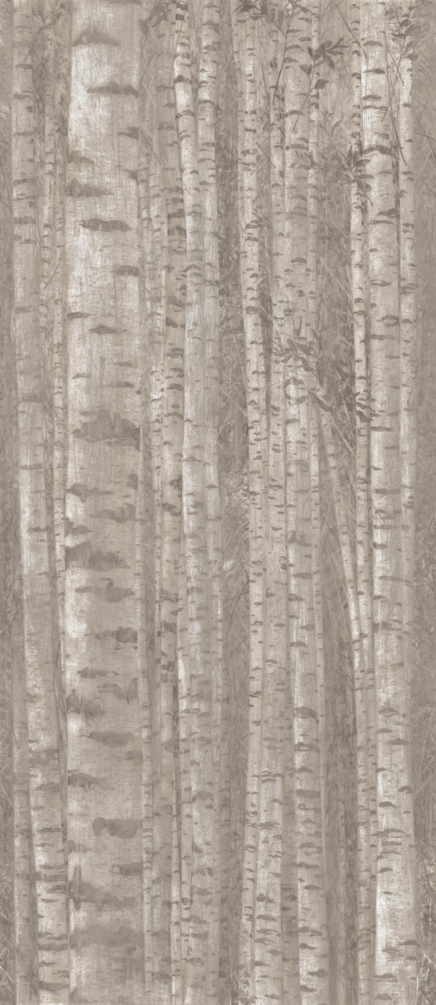 A0LW Декор Boost Pro Grove 120x278