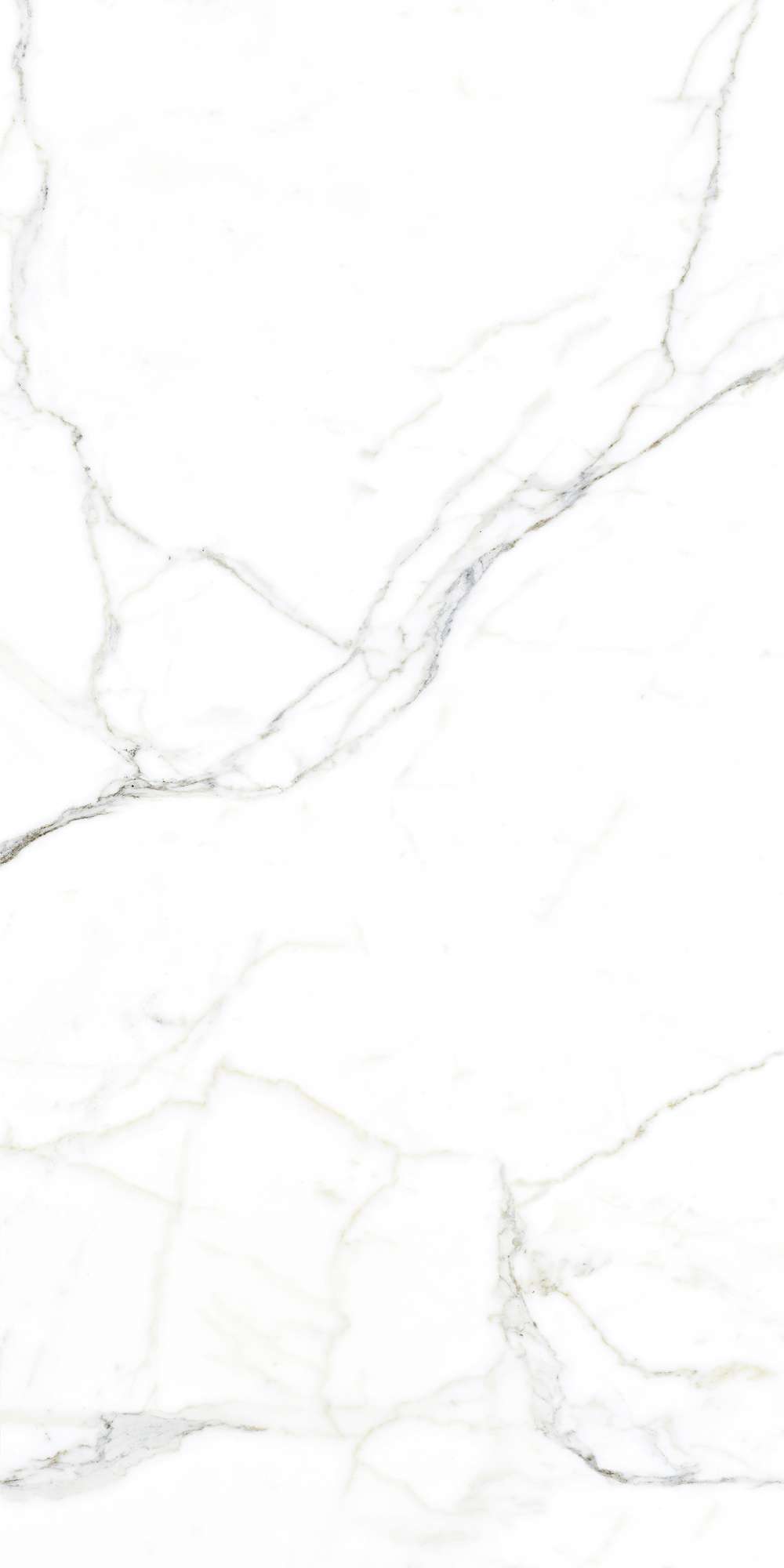 FP1002-A На пол Luce Statuario Full Polished 60x120 - фото 3