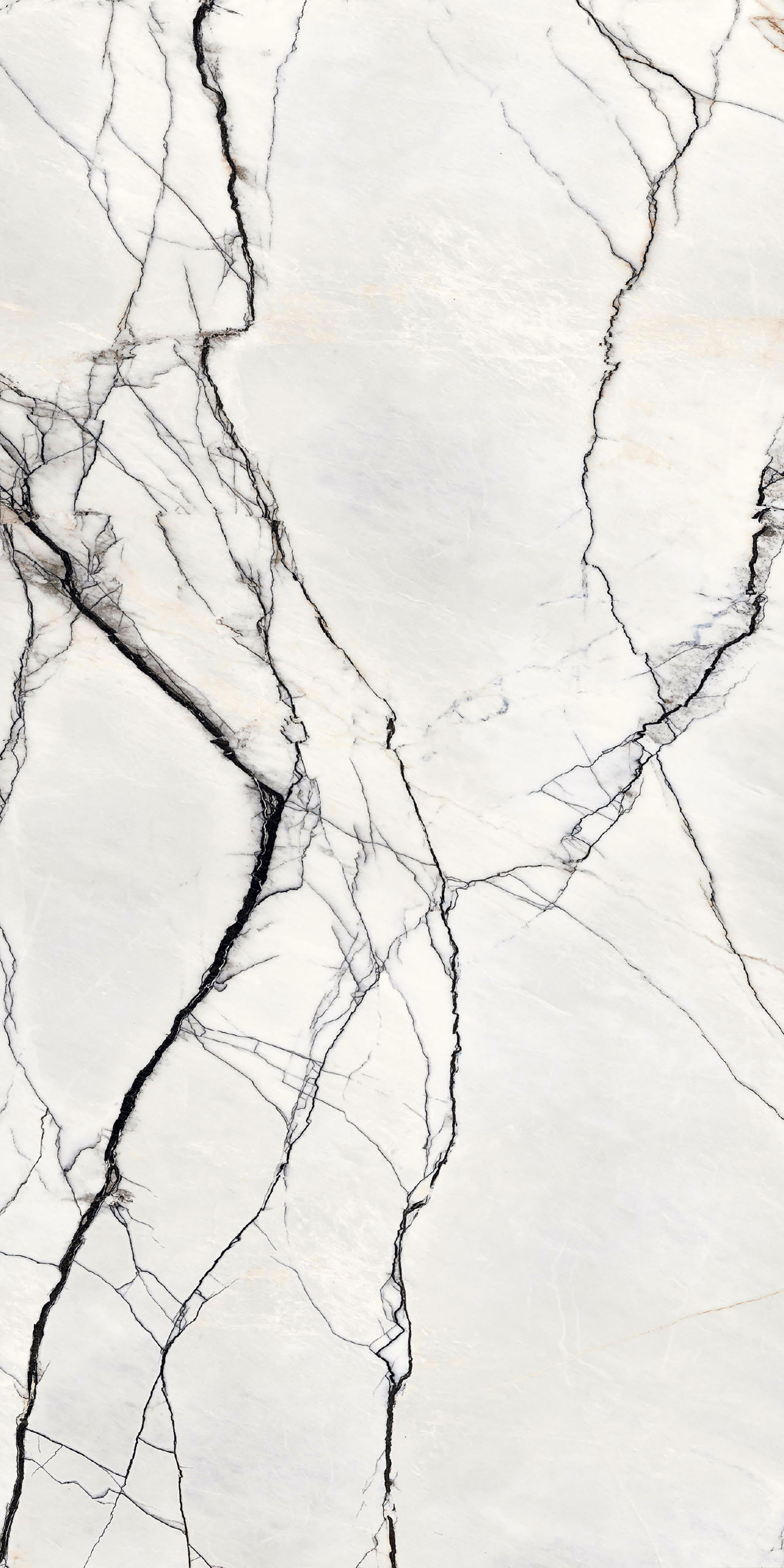 765503 На пол B and W Marble Breach High-Glossy 6mm 160x320