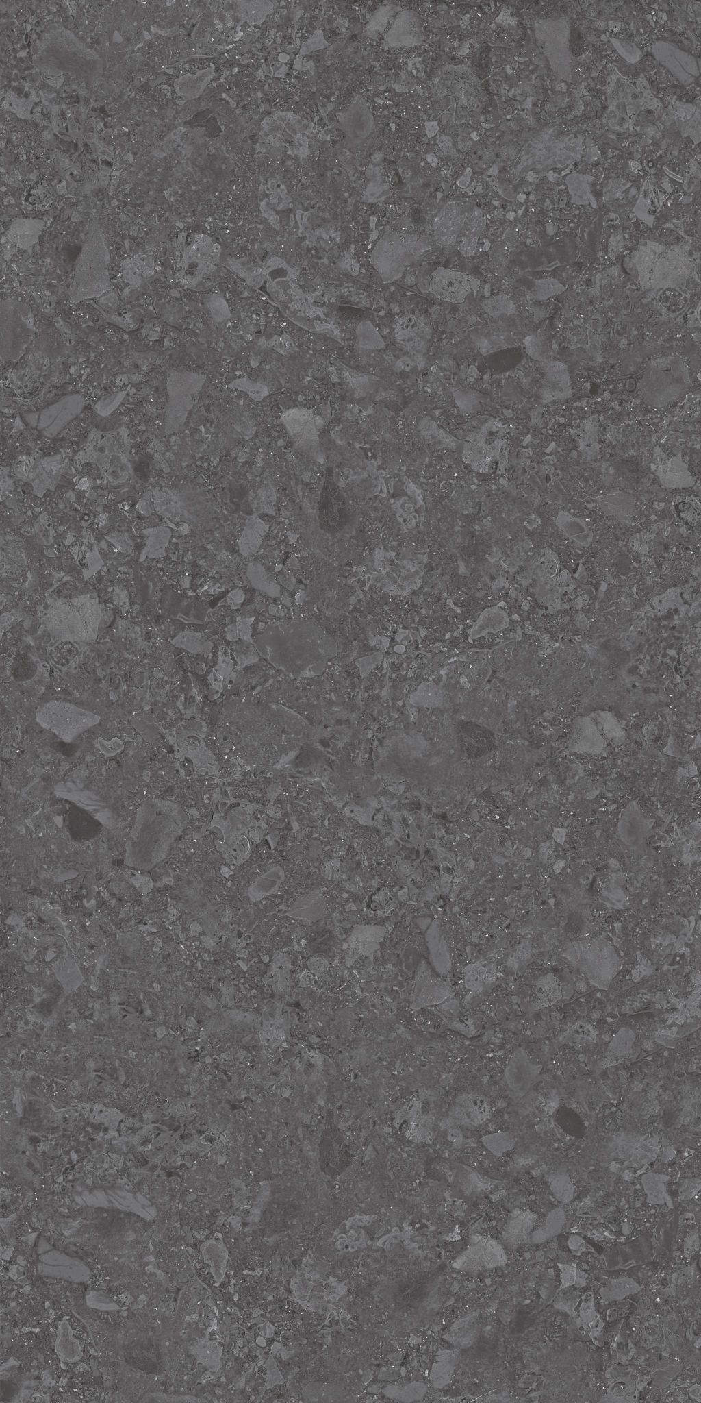469 ITO3GY На пол Stone Dark Grey 60x120