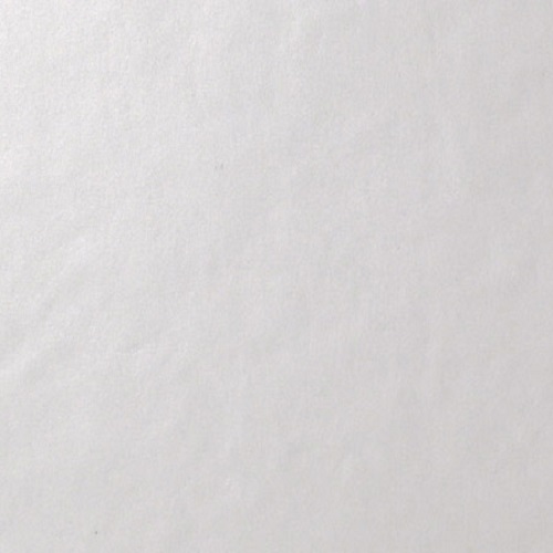 4957052 На пол Architecture WHITE LEVIGATO 60x60