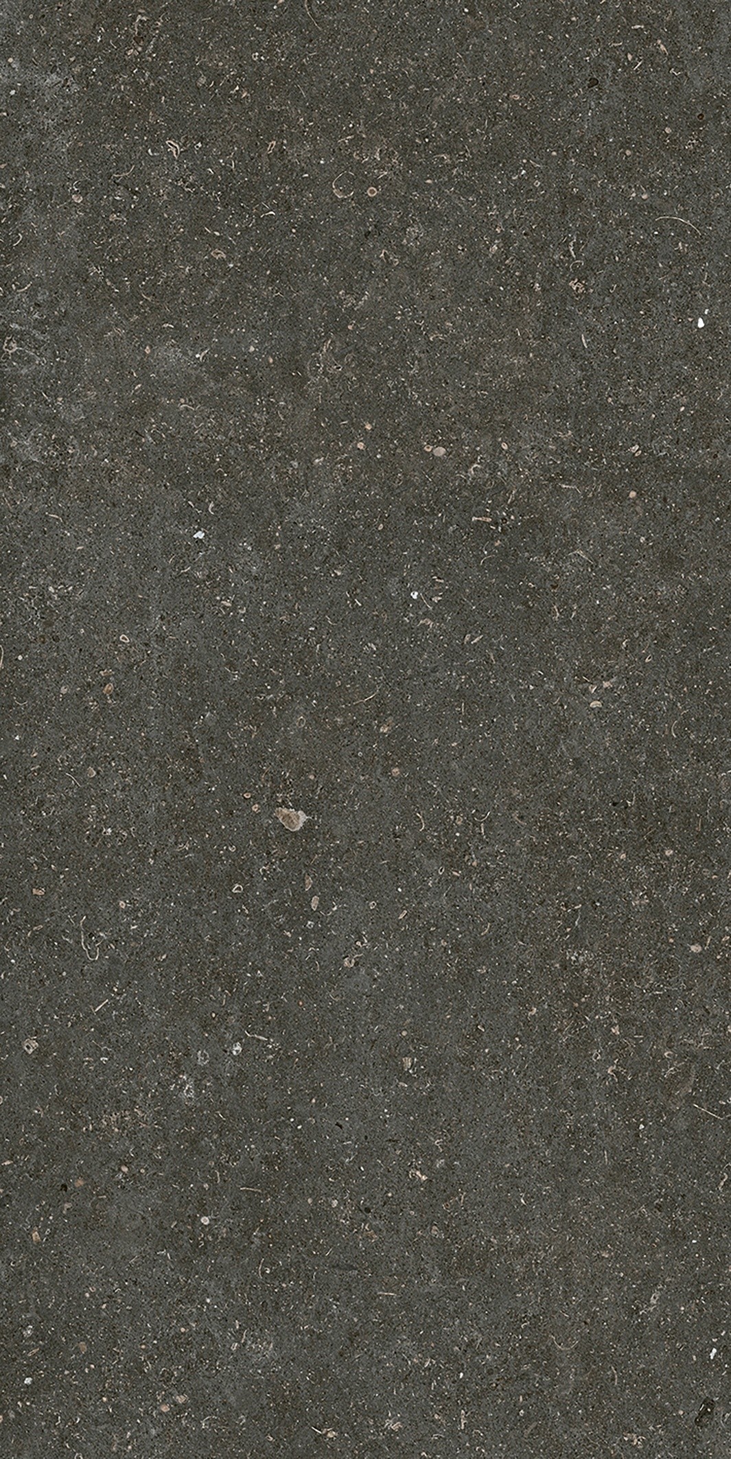 785577 На пол Rinascenza Arena Platino Matte 6mm 60x120 - фото 4