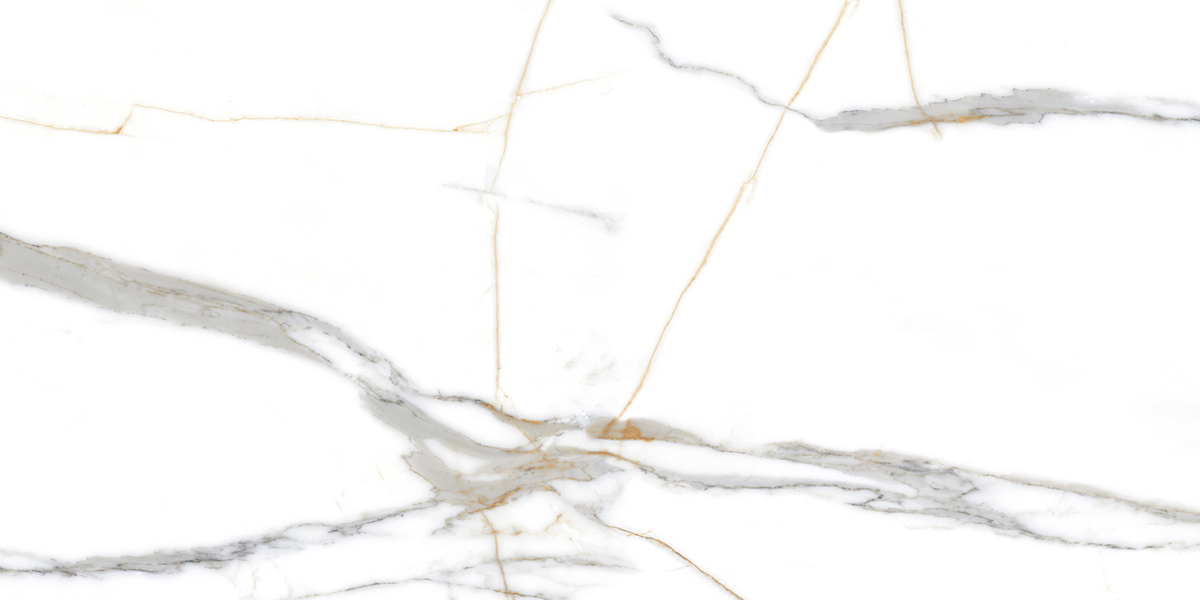 PRO 1059G На пол Roma Grigio Gloss 1200x600 - фото 2