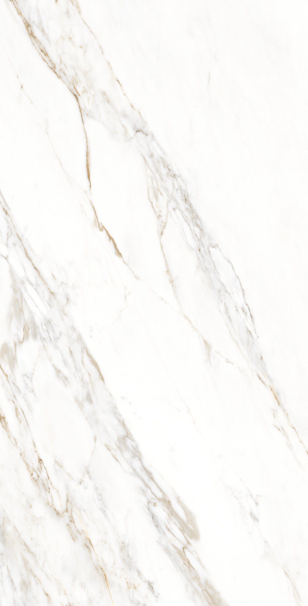 CZ-GL03-B На пол Enfold Statuario Matt Glossy Ink 80x160