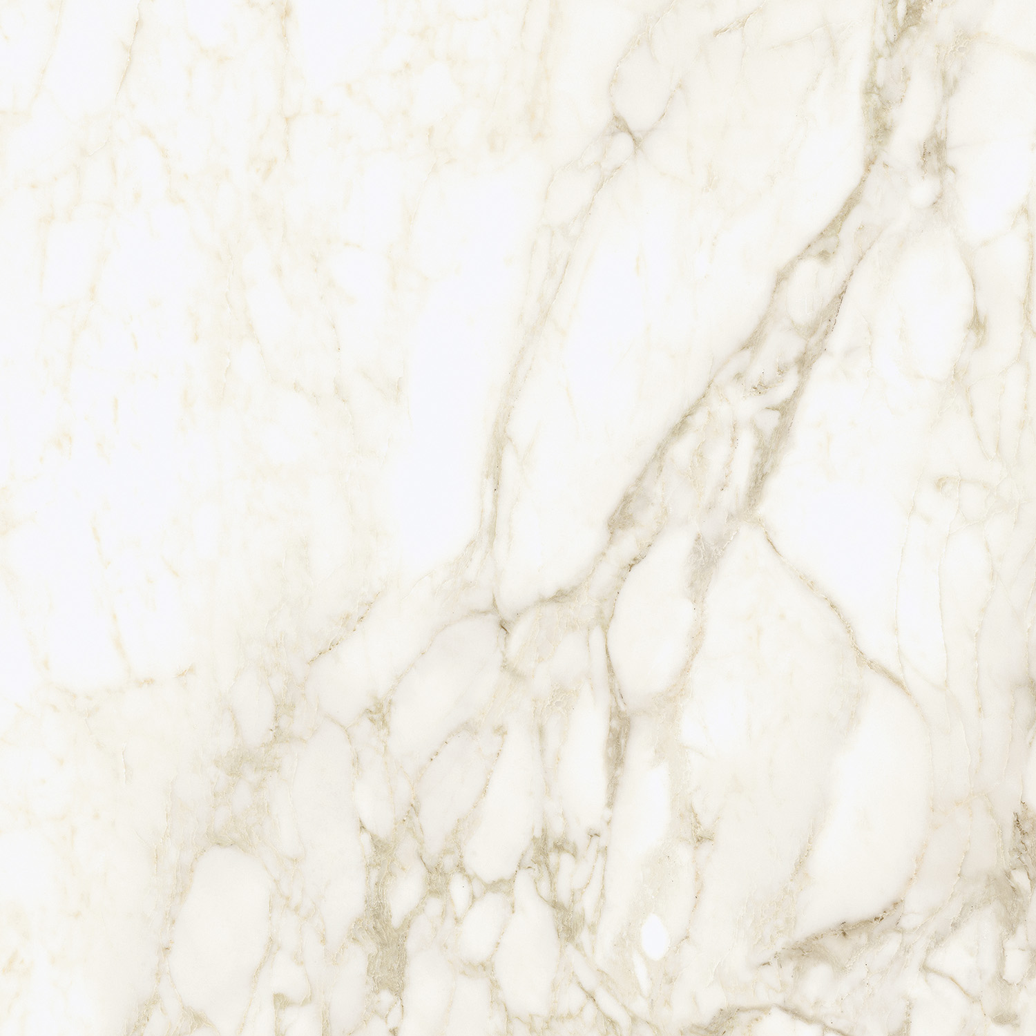 610010002748 На пол Michelangelo Ворм 60x60