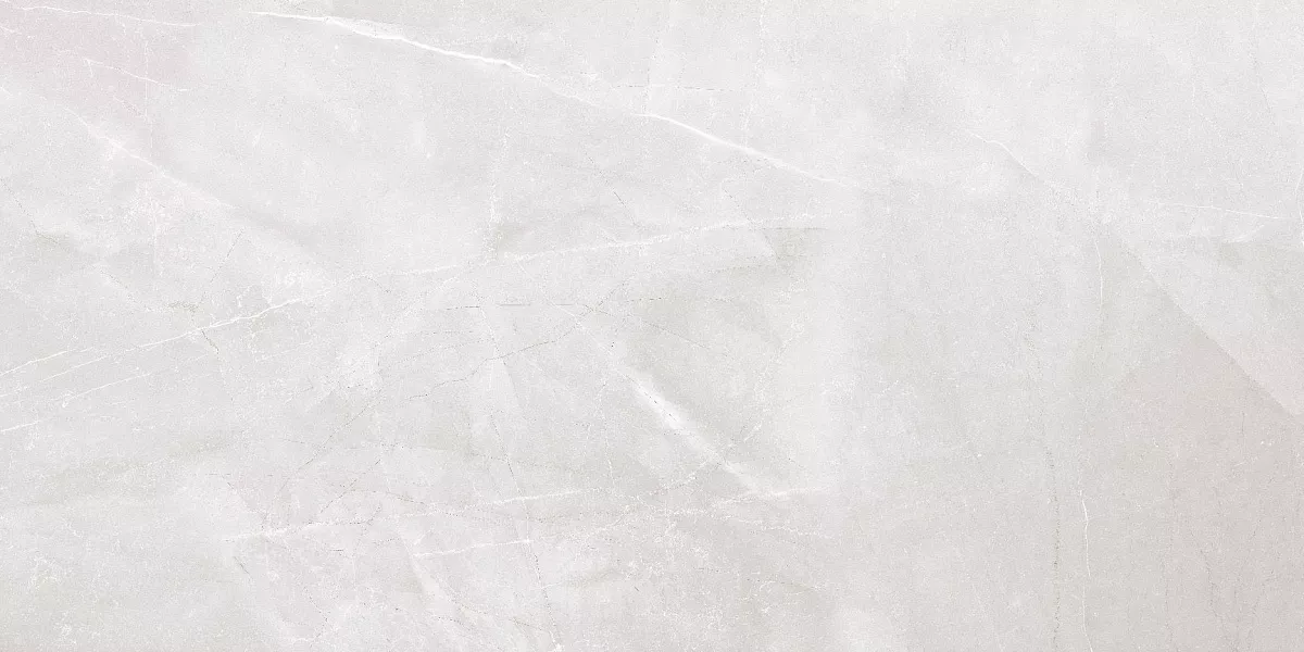 На пол Armani Bianco Glossy 60x120 - фото 4