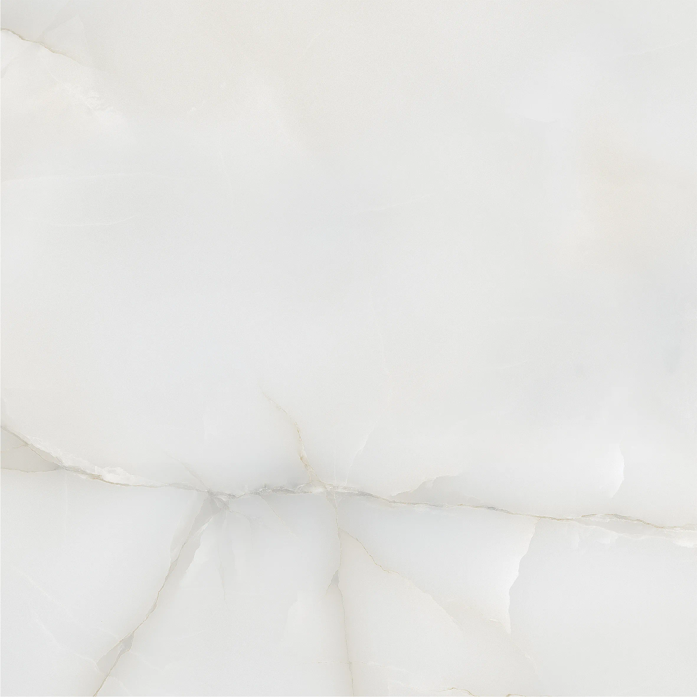 410202 На пол  Elara Glossy 60x60 - фото 5