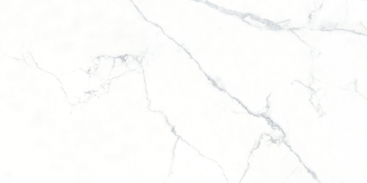 На пол Ogma 80х160 Полированный - фото 4