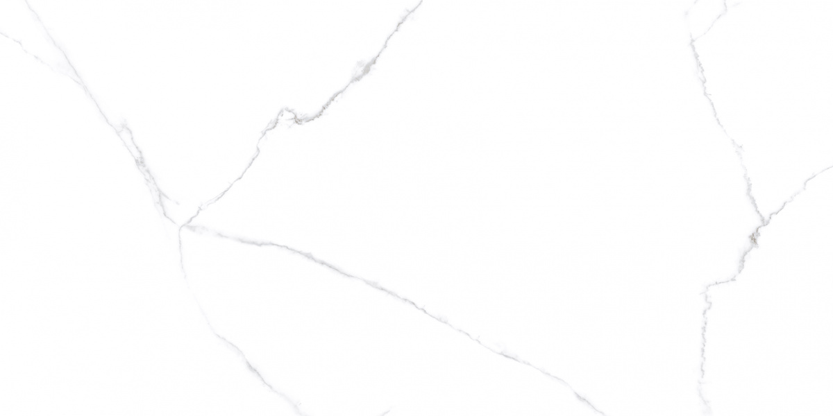 На пол Atlantic White I Белый Сатинированный 60x120 - фото 5