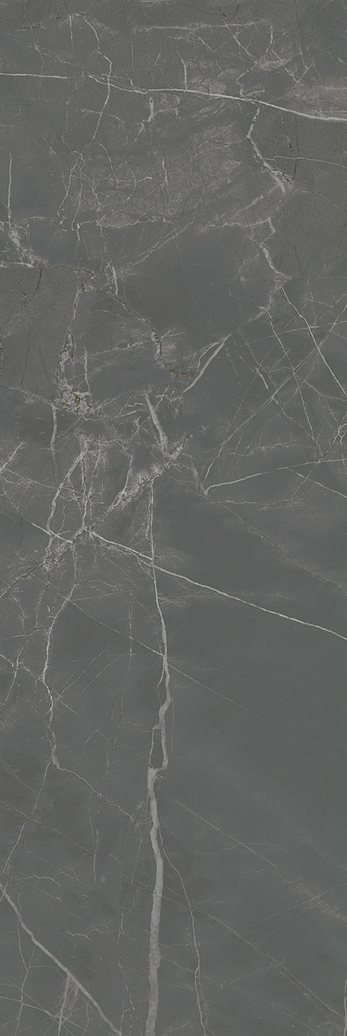 13098TR На стену Буонарроти Серый темный матовый обрезной 30x89.5x0.9 - фото 7