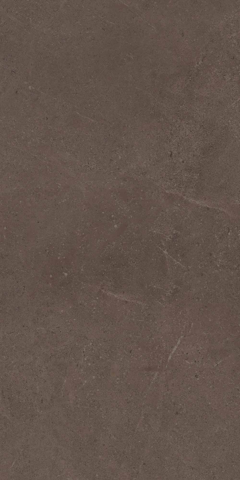 GO03/NS_R9/60x120x10R/GC На пол Gobi GO03 Brown Grey неполированный 60x120 - фото 3