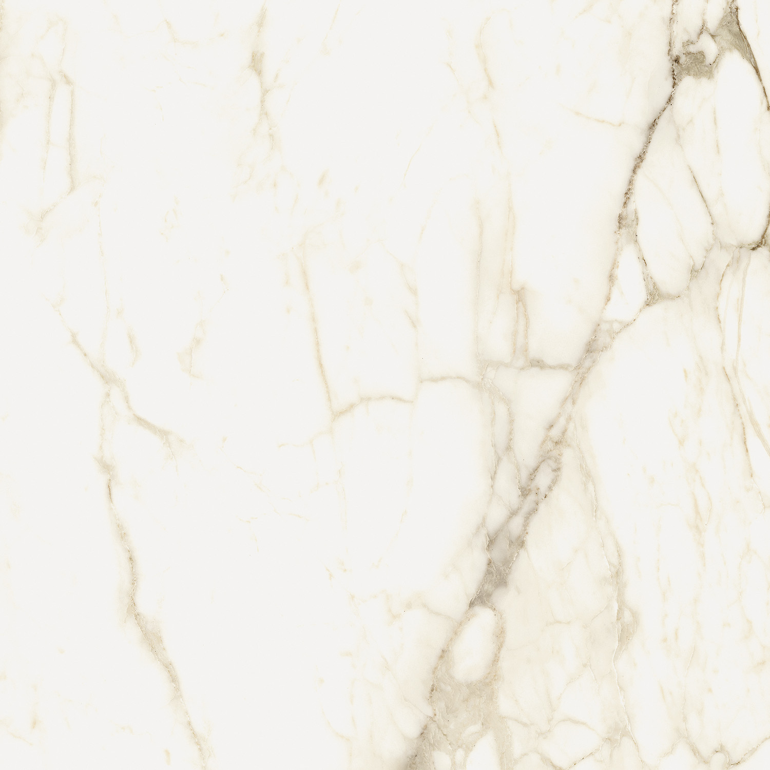 610010002748 На пол Michelangelo Ворм 60x60 - фото 5