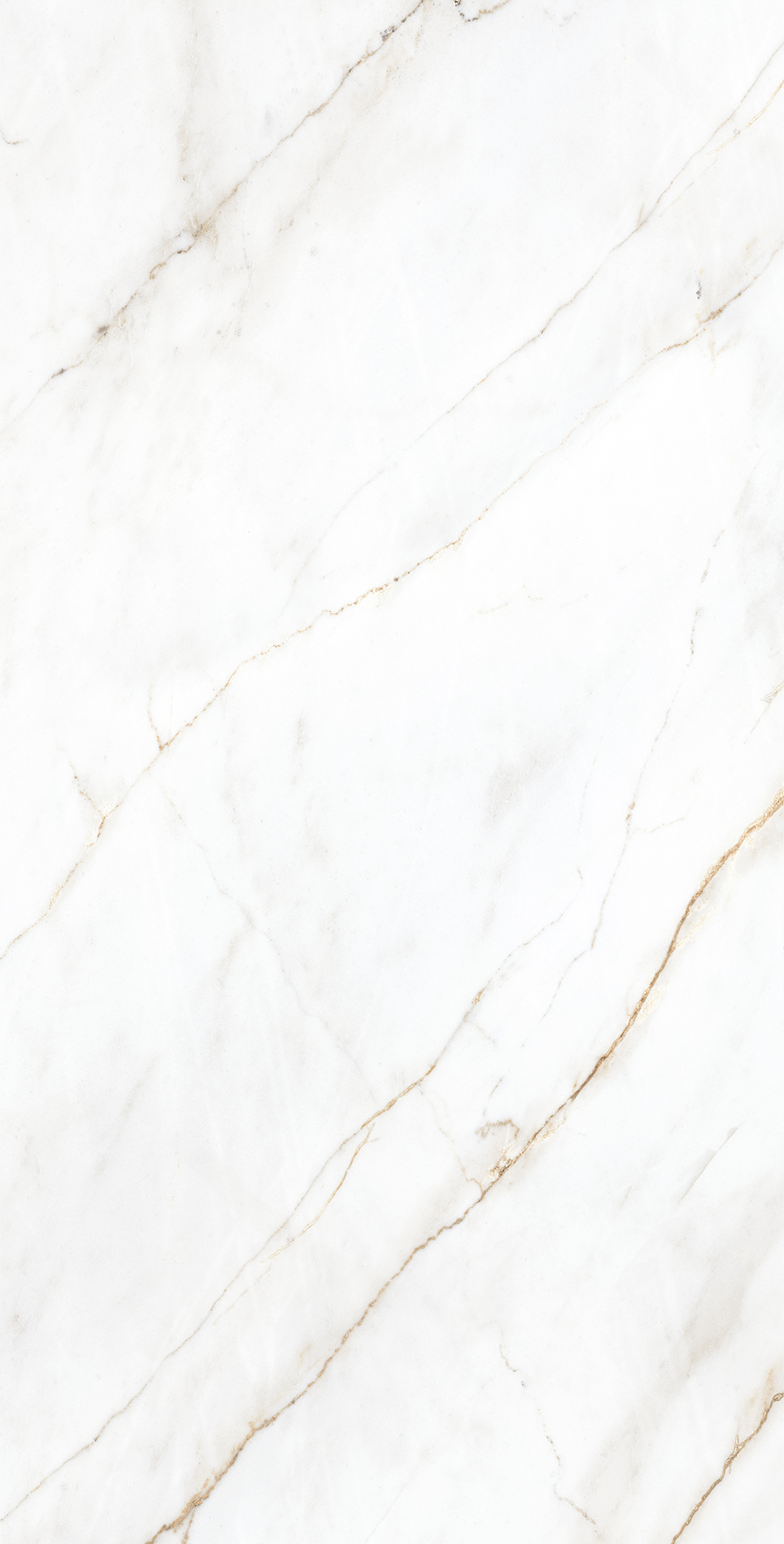 CP4004-A На пол Selva Gold Carving Pro 60x120 - фото 4