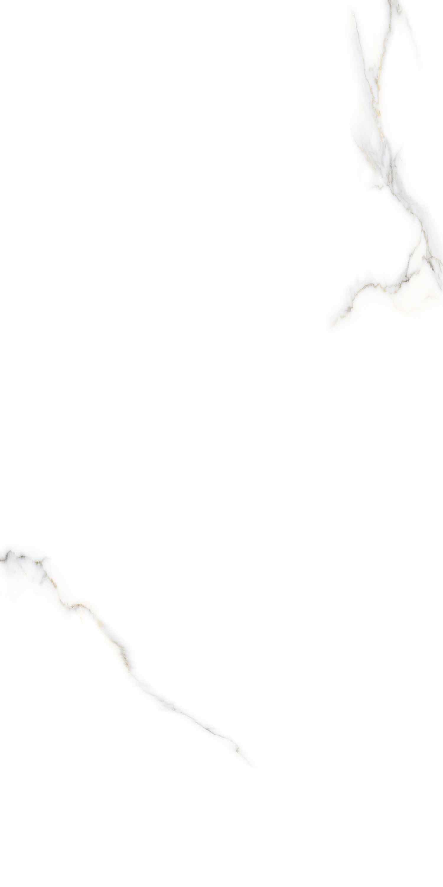 На пол Zoom Satuario Glossy 60х120 - фото 3