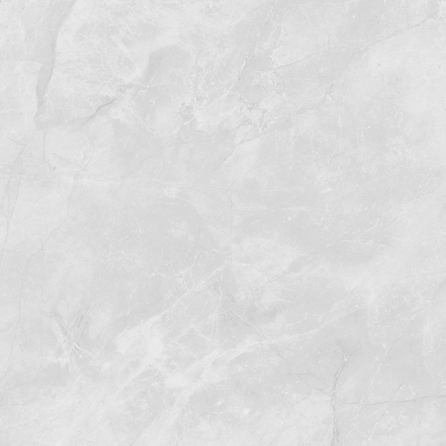 LP6060G0241R На пол Berna Silver светло-серый матовый 59.5х59.5 - фото 6