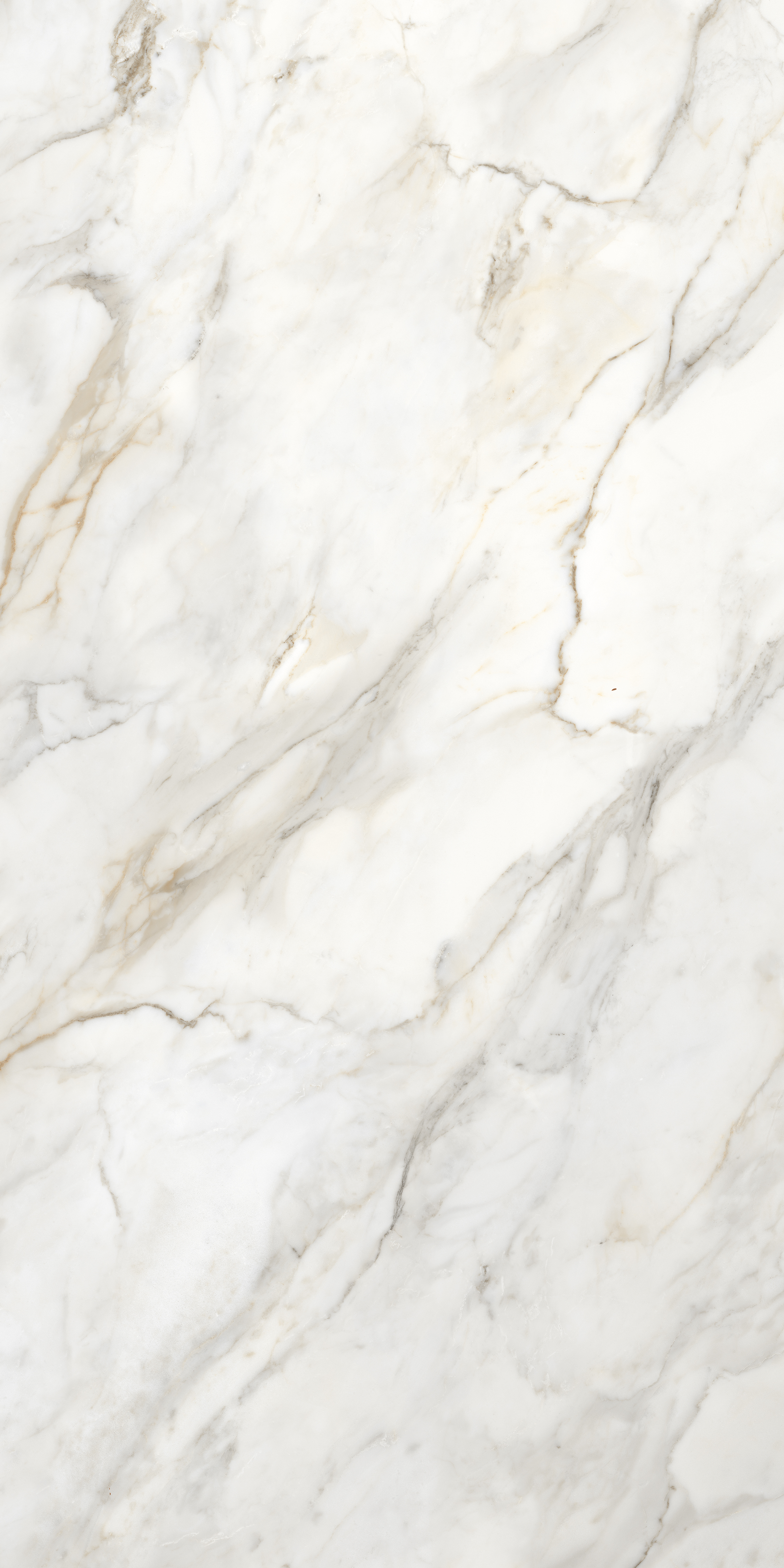 ENMAR8001GL60120  На пол Marble Amulet Glossy 60x120 - фото 7