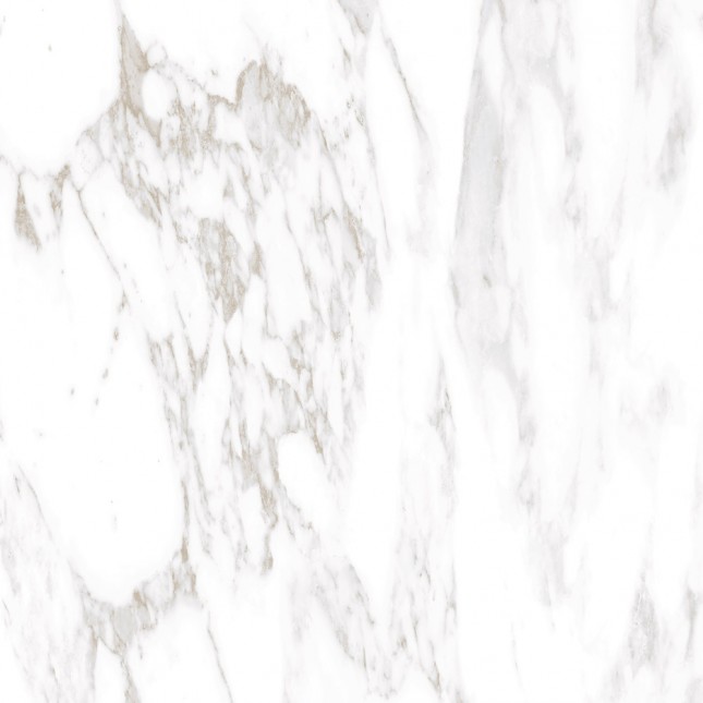 GRS01-19 На пол Ellora Lotus 60x60 - фото 5