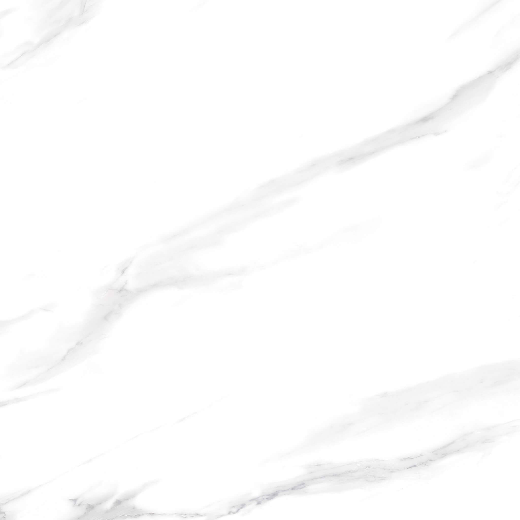 166531 На пол Watson Polished 60x60 - фото 6