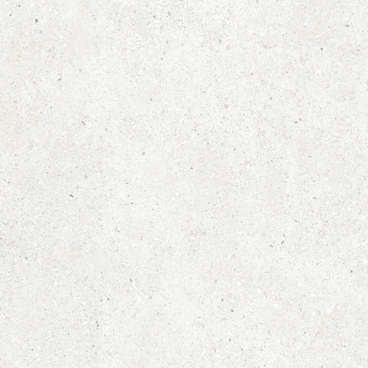 CR6060G0471R На пол Perla Bianco светло-серый матовый 59.5х59.5 - фото 12