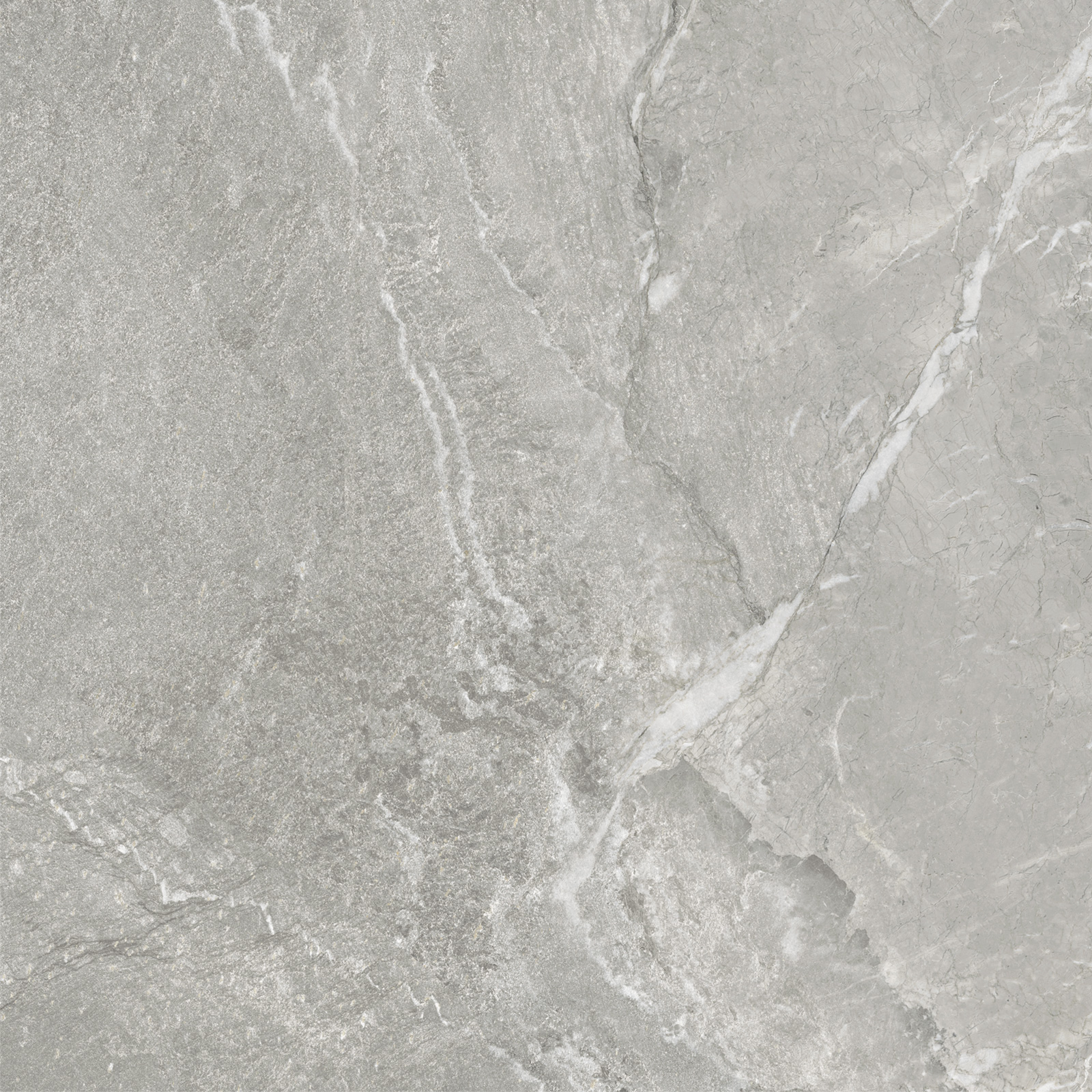 D60259M На пол Wild Light матовый 600x600x9.5 - фото 14