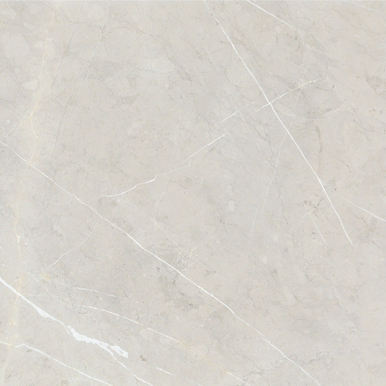 BB6NTT9101P На пол Bright And Shiny BB6NTT9101P - фото 21