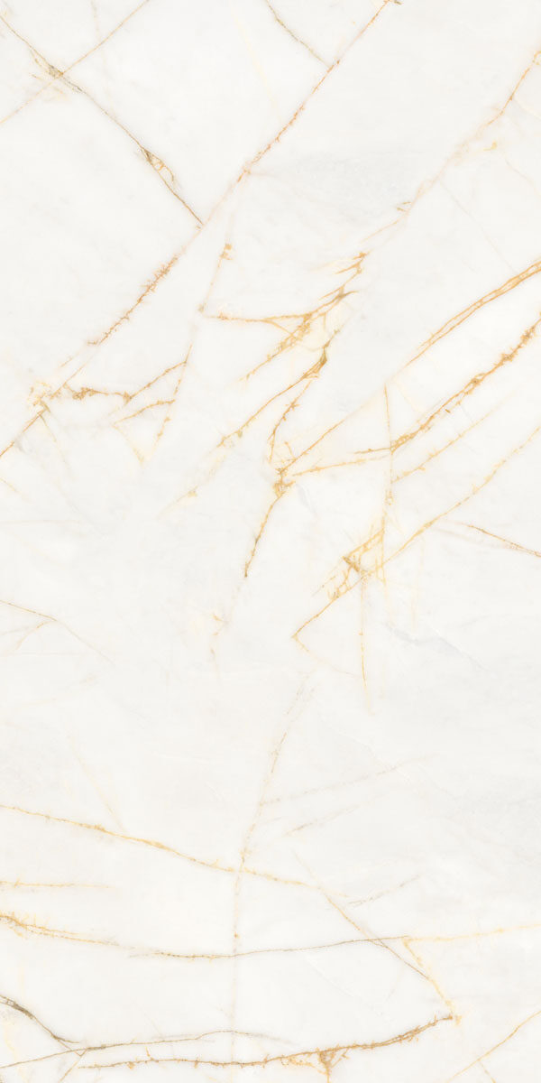 PF60017518 На пол Supreme Hedonism Golden Spider Nat R 60x120 - фото 4