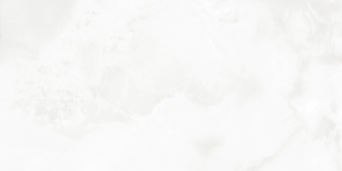 LP6012G0541R На пол Bernini Bianco белый глянцевые чернила 59.5х119.1 - фото 2